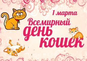 День кошек День кошек.