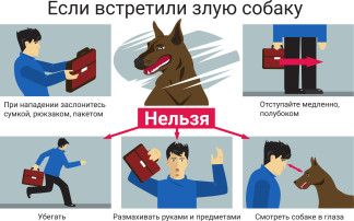 ЕДБН ЕДБН.