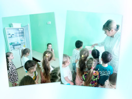 День здоровья День здоровья.