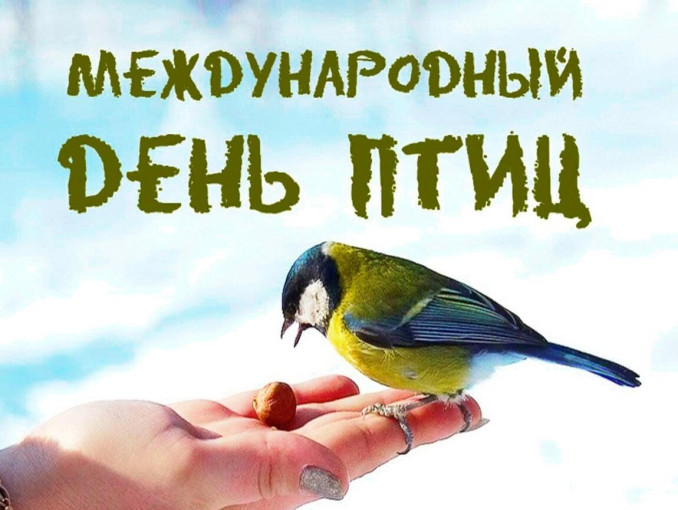 День птиц День птиц.
