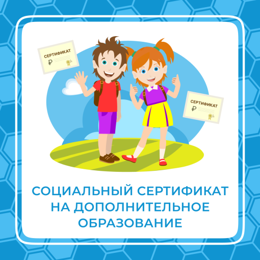 Социальный сертификат Социальный сертификат.